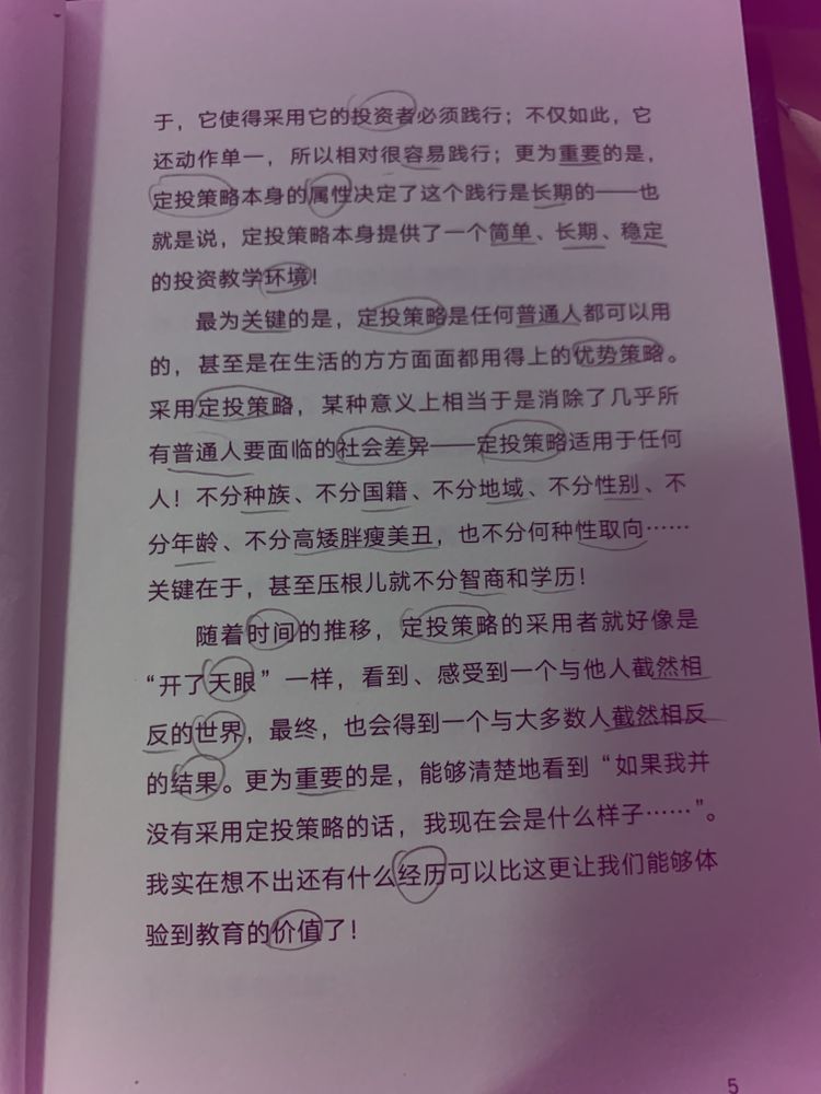 p5.jpg