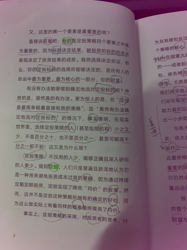 p2.jpg