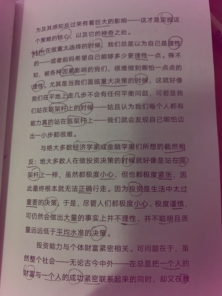 p3.jpg